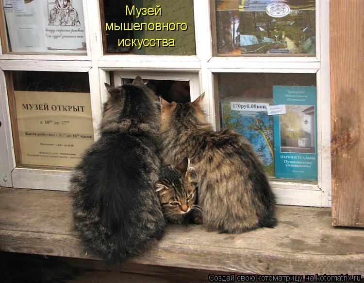 искусства мышеловного Музей... Котоматрица: искусства мышеловного Музей