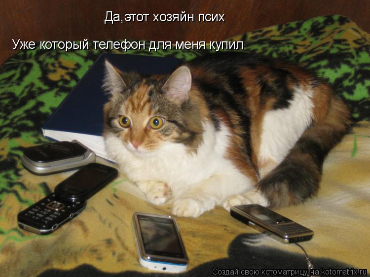 Да,этот хозяйн псих Уже который телефон для меня купил... Котоматрица: Да,этот хозяйн псих Уже который телефон для меня купил