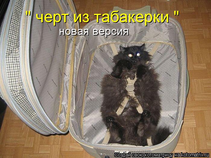 " черт из табакерки " новая версия... Котоматрица: " черт из табакерки " новая версия