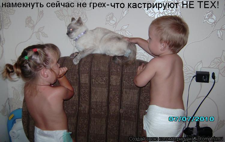 Котоматрица: намекнуть сейчас не грех-  что кастрируют НЕ ТЕХ!