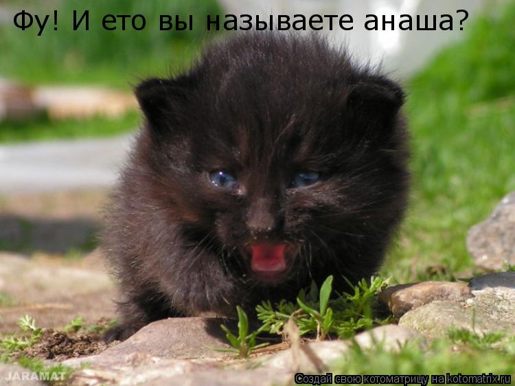 Фу! И ето вы называете анаша?... Котоматрица: Фу! И ето вы называете анаша?