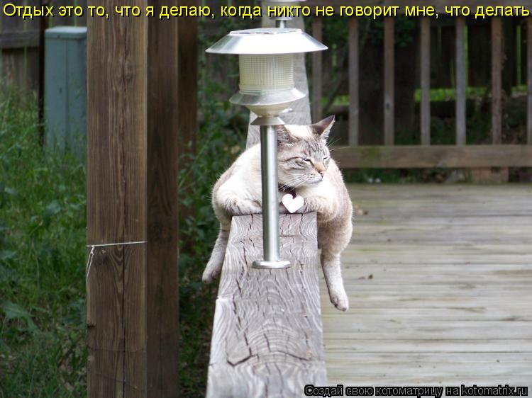 Отдых это то, что я делаю, когда никто не говорит мне, что делать... Котоматрица: Отдых это то, что я делаю, когда никто не говорит мне, что делать