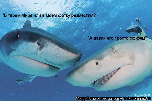 "А давай его просто сожрем" "В твоем Мире или в моем фотку разместим?"... Котоматрица: "А давай его просто сожрем" "В твоем Мире или в моем фотку разместим?"