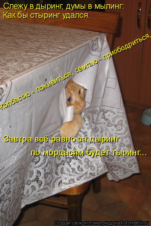 Слежу в дыринг, думы в мылинг: Как бы стыринг удался. Колбасою - поживиться, сёмгаю - приободриться, ... Котоматрица: Слежу в дыринг, думы в мылинг: Как бы стыринг удался. Колбасою - поживиться, сёмгаю - приободриться, Завтра всё равно за дыринг по мордасям бу