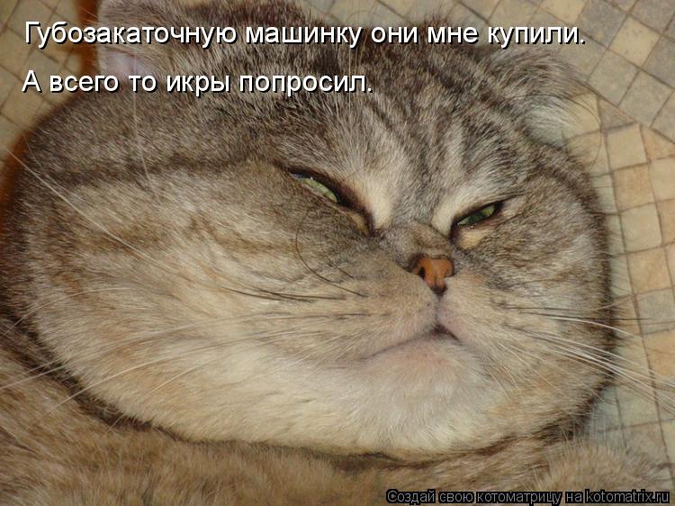 Губозакаточную машинку они мне купили. А всего то икры попросил.... Котоматрица: Губозакаточную машинку они мне купили. А всего то икры попросил.