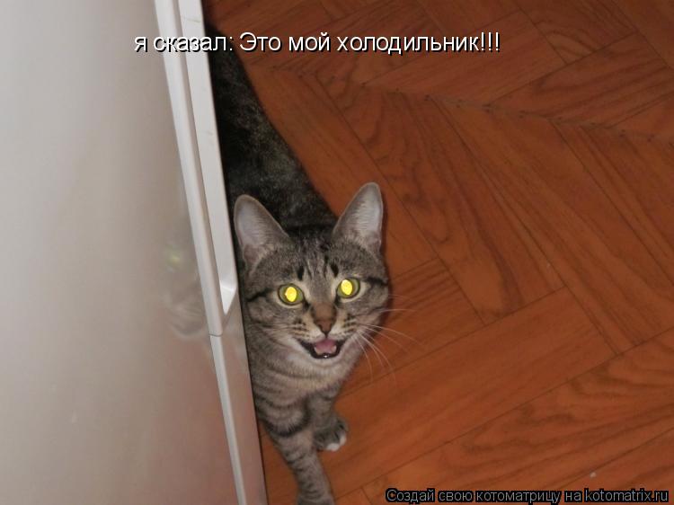 я сказал: Это мой холодильник!!!... Котоматрица: я сказал: Это мой холодильник!!!