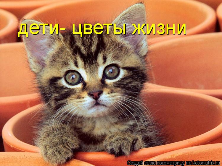 дети- цветы жизни... Котоматрица: дети- цветы жизни