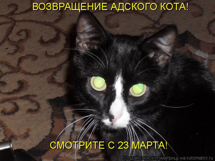ВОЗВРАЩЕНИЕ АДСКОГО КОТА! СМОТРИТЕ С 23 МАРТА!... Котоматрица: ВОЗВРАЩЕНИЕ АДСКОГО КОТА! СМОТРИТЕ С 23 МАРТА!