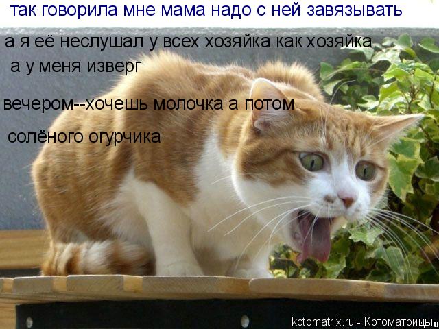 так говорила мне мама надо с ней завязывать а я её неслушал у всех хозяйка как хозяйка а у меня извер... Котоматрица: так говорила мне мама надо с ней завязывать а я её неслушал у всех хозяйка как хозяйка а у меня изверг вечером--хочешь молочка а потом солёно