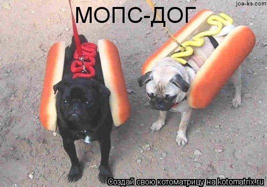 МОПС-ДОГ... Котоматрица: МОПС-ДОГ