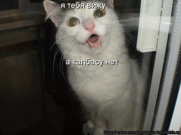 я тебя вижу а калбасу нет... Котоматрица: я тебя вижу а калбасу нет