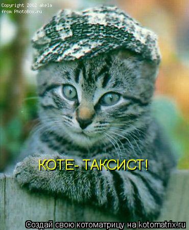 КОТЕ- ТАКСИСТ!... Котоматрица: КОТЕ- ТАКСИСТ!