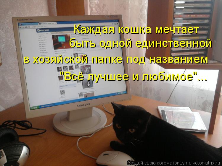 быть одной единственной Каждая кошка мечтает в хозяйской папке под названием "Всё лучшее и любимое".... Котоматрица: быть одной единственной Каждая кошка мечтает в хозяйской папке под названием "Всё лучшее и любимое"...