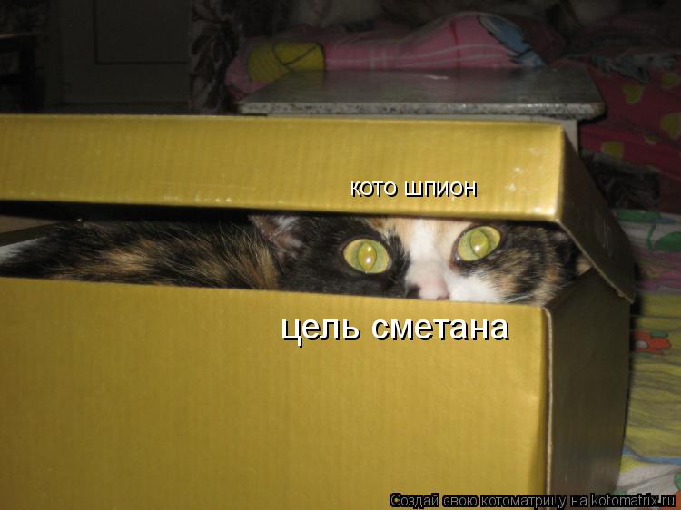 кото шпион цель сметана... Котоматрица: кото шпион цель сметана