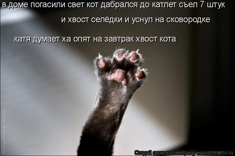 в доме погасили свет кот дабрался до катлет съел 7 штук и хвост селёдки и уснул на сковородке катя ду... Котоматрица: в доме погасили свет кот дабрался до катлет съел 7 штук и хвост селёдки и уснул на сковородке катя думает ха опят на завтрак хвост кота