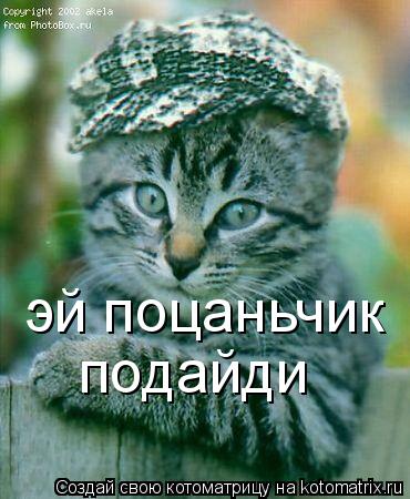 эй поцаньчик подайди... Котоматрица: эй поцаньчик подайди
