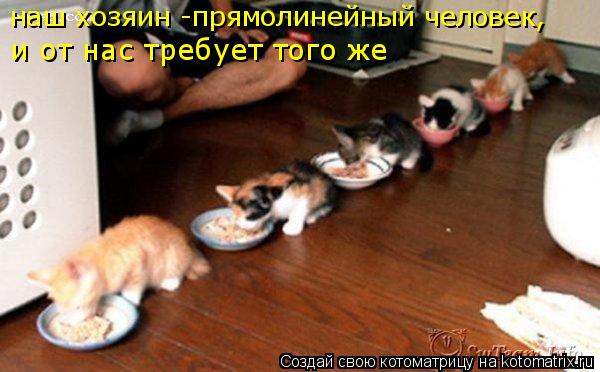 наш хозяин -прямолинейный человек, и от нас требует того же... Котоматрица: наш хозяин -прямолинейный человек, и от нас требует того же