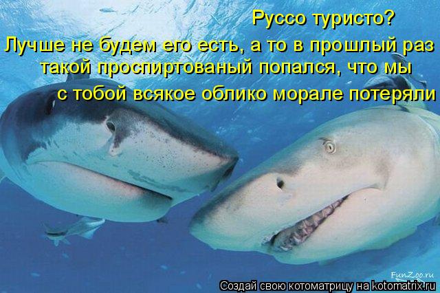 Руссо туристо? Лучше не будем его есть, а то в прошлый раз такой проспиртованый попался, что мы с тоб... Котоматрица: Руссо туристо? Лучше не будем его есть, а то в прошлый раз такой проспиртованый попался, что мы с тобой всякое облико морале потеряли