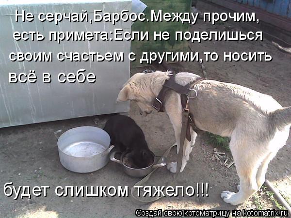 Не серчай,Барбос.Между прочим, есть примета:Если не поделишься своим счастьем с другими,то носить всё... Котоматрица: Не серчай,Барбос.Между прочим, есть примета:Если не поделишься своим счастьем с другими,то носить всё в себе будет слишком тяжело!!!