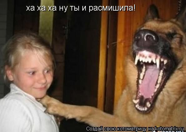 ха ха ха ну ты и расмишила!... Котоматрица: ха ха ха ну ты и расмишила!