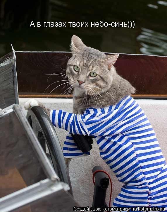 А в глазах твоих небо-синь)))... Котоматрица: А в глазах твоих небо-синь)))