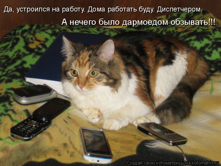 Да, устроился на работу. Дома работать буду. Диспетчером. А нечего было дармоедом обзывать!!!... Котоматрица: Да, устроился на работу. Дома работать буду. Диспетчером. А нечего было дармоедом обзывать!!!