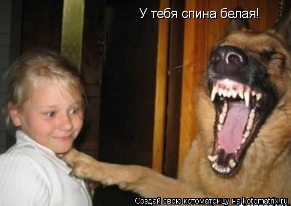 У тебя спина белая!... Котоматрица: У тебя спина белая!