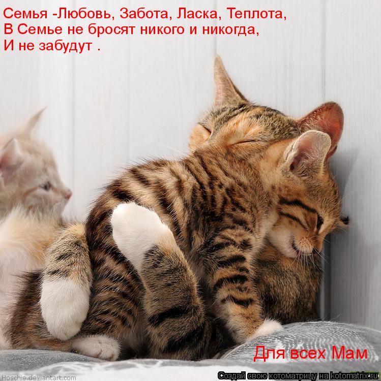 Семья -Любовь, Забота, Ласка, Теплота, В Семье не бросят никого и никогда, И не забудут . Для всех Ма... Котоматрица: Семья -Любовь, Забота, Ласка, Теплота, В Семье не бросят никого и никогда, И не забудут . Для всех Мам