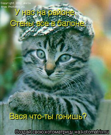 У нас на районе, Стены все в балоне, Вася что-ты гонишь?... Котоматрица: У нас на районе, Стены все в балоне, Вася что-ты гонишь?
