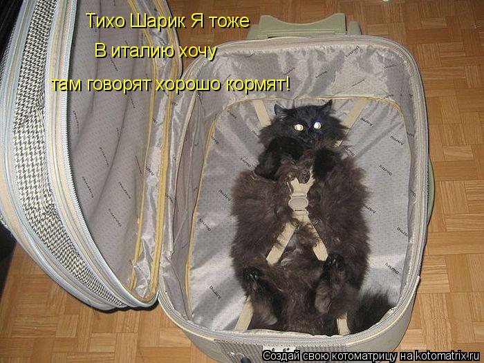 Тихо Шарик Я тоже В италию хочу там говорят хорошо кормят!... Котоматрица: Тихо Шарик Я тоже В италию хочу там говорят хорошо кормят!