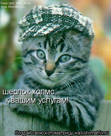шерлок холмс к вашим услугам!... Котоматрица: шерлок холмс к вашим услугам!
