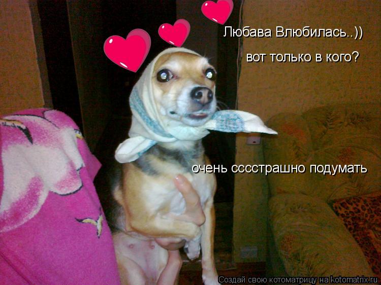 Любава Влюбилась..)) вот только в кого? очень сссстрашно подумать... Котоматрица: Любава Влюбилась..)) вот только в кого? очень сссстрашно подумать