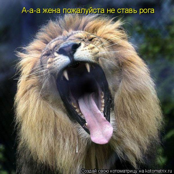 А-а-а жена пожалуйста не ставь рога... Котоматрица: А-а-а жена пожалуйста не ставь рога