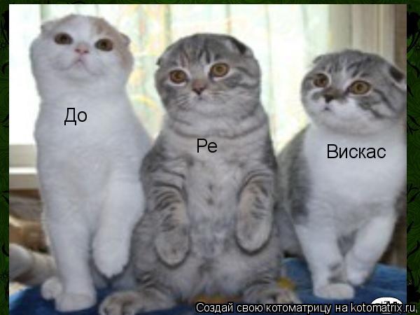 До Ре Вискас... Котоматрица: До Ре Вискас