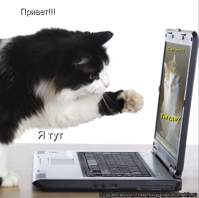 Привет!!! Салют!!! Ты где? Я тут... Котоматрица: Привет!!! Салют!!! Ты где? Я тут