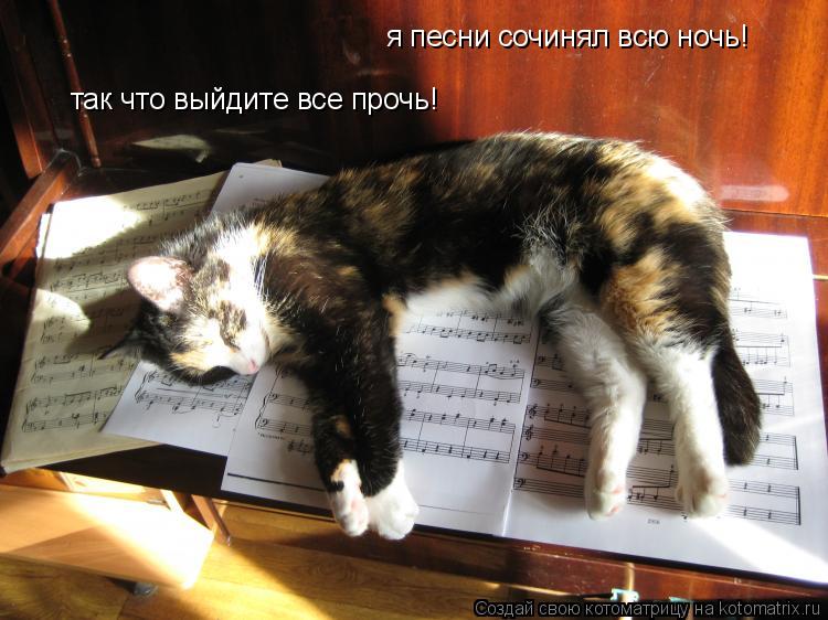 я песни сочинял всю ночь! так что выйдите все прочь!... Котоматрица: я песни сочинял всю ночь! так что выйдите все прочь!