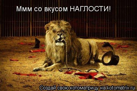 Ммм со вкусом НАГЛОСТИ!... Котоматрица: Ммм со вкусом НАГЛОСТИ!