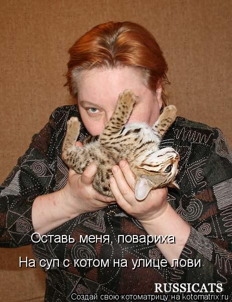 Оставь меня, повариха На суп с котом на улице лови... Котоматрица: Оставь меня, повариха На суп с котом на улице лови