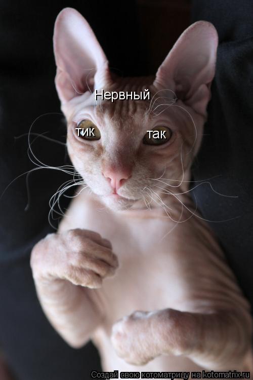 Нервный тик так... Котоматрица: Нервный тик так