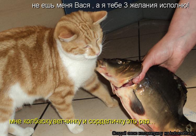 не ешь меня Вася , а я тебе 3 желания исполню! мне колбаску,ветчинку и сорделичку.это раз...... Котоматрица: не ешь меня Вася , а я тебе 3 желания исполню! мне колбаску,ветчинку и сорделичку.это раз...