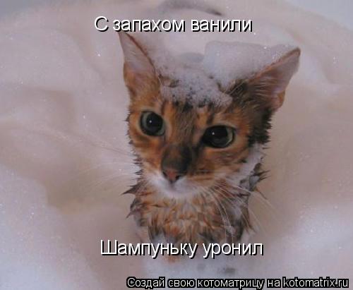 С запахом ванили Шампуньку уронил... Котоматрица: С запахом ванили Шампуньку уронил