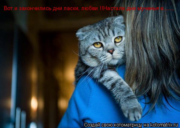 Вот и закончились дни ласки, любви !!Настали дни мученья и.......... Котоматрица: Вот и закончились дни ласки, любви !!Настали дни мученья и.......