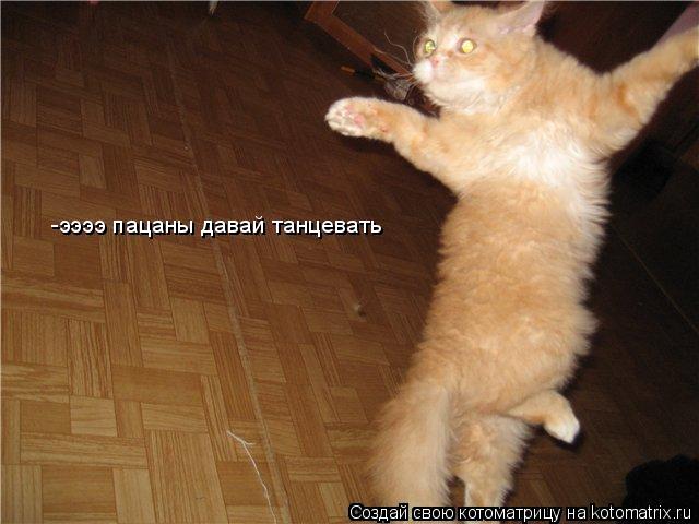 -ээээ пацаны давай танцевать... Котоматрица: -ээээ пацаны давай танцевать