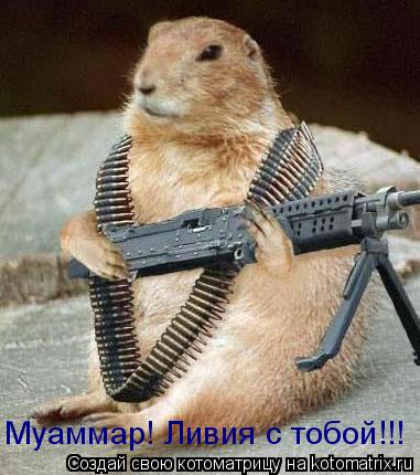 Муаммар! Ливия с тобой!!!... Котоматрица: Муаммар! Ливия с тобой!!!