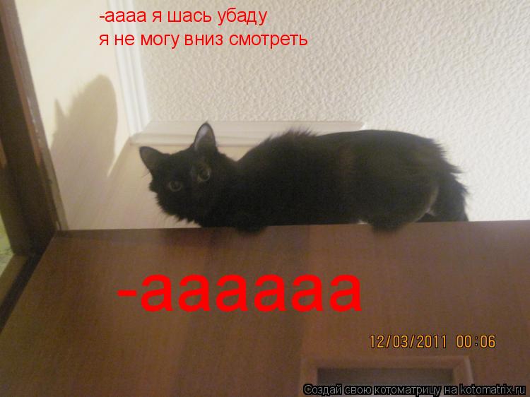 -аааа я шась убаду я не могу вниз смотреть -аааааа... Котоматрица: -аааа я шась убаду я не могу вниз смотреть -аааааа