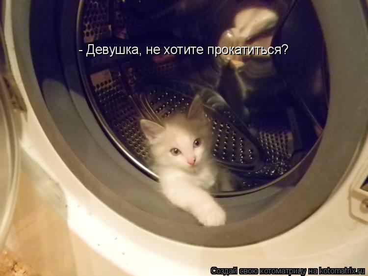 - Девушка, не хотите прокатиться?... Котоматрица: - Девушка, не хотите прокатиться?