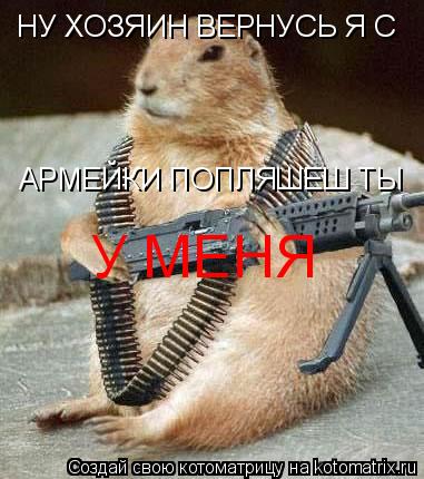 НУ ХОЗЯИН ВЕРНУСЬ Я С АРМЕЙКИ ПОПЛЯШЕШ ТЫ У МЕНЯ... Котоматрица: НУ ХОЗЯИН ВЕРНУСЬ Я С АРМЕЙКИ ПОПЛЯШЕШ ТЫ У МЕНЯ