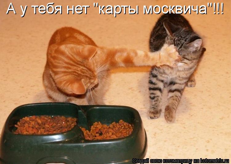 А у тебя нет "карты москвича"!!!... Котоматрица: А у тебя нет "карты москвича"!!!