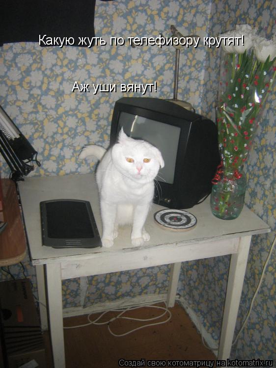 Какую жуть по телефизору крутят! Аж уши вянут!... Котоматрица: Какую жуть по телефизору крутят! Аж уши вянут!