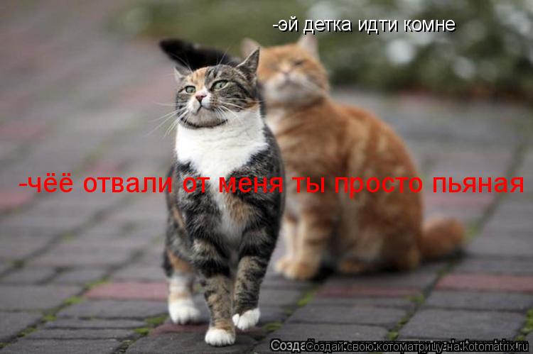 -эй детка идти комне -чёё отвали от меня ты просто пьяная... Котоматрица: -эй детка идти комне -чёё отвали от меня ты просто пьяная